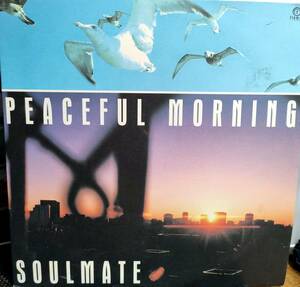 国内オリジナル盤 ★ SOULMATE / PEACEFUL MORNING