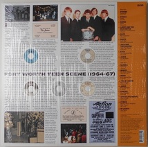 ■新品■V.A./Fort Worth teen scene! vol.2(LP)_画像2