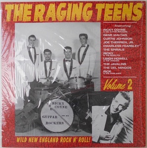 ■新品■V.A./raging teens vol.2(LP)