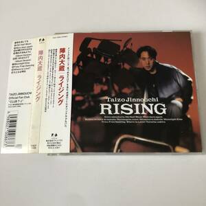 帯付きです◆ 陣内大蔵/ライジング RISING◆