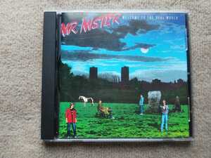 USED/CD・MR.MISTER 【Welcome to the Real World】MR.ミスター BVCP‐7357