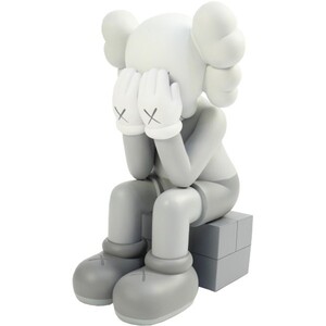 Kaws X Medicom Toy Companion Passsing через рисунок 2013 модель золы [бесплатно] [Используется почти новый] [Используется]