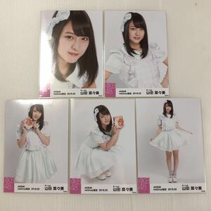 AKB48 山田菜々美「netshop限定 2018.02」生写真5枚コンプ。