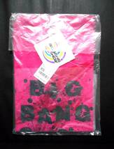 【新品!!】 BIGBANG SHOW グラフィック Tシャツ ピンク ビッグバン ユニクロ コラボ G-DRAGON着 ジヨン 半袖 メンズ XS サイズ UT UNIQLO_画像4