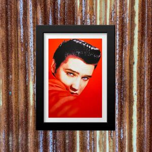  парусина постер L винт Elvis интерьер hot удилище контри-рок american смешанные товары фильм kyaru булавка nap девушка Северная Америка PAR8