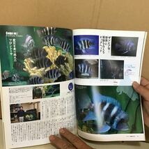 アクアライフ 2012.5 ア④ はじめての熱帯魚飼育 アクアな暮らし フロントーサ アメリカザリガニ ニューカラー ペルーの アピストグラマ_画像8