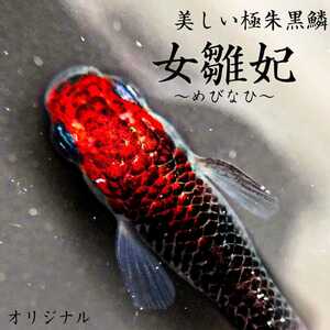 Bibian 比比昂 日本代標 日本代購 美國代標 美國代購 日本雅虎拍賣 日本美國推薦代購 Bibian 比比昂 日本代標 日本代購 美國代標 美國代購 日本雅虎拍賣 日本美國推薦代購