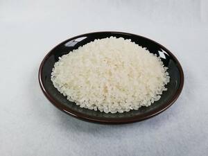 うるち米　有機肥料栽培【きぬむすめ】白米20ｋｇ