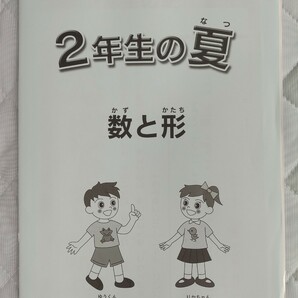 中学受験 算数 2年 日能研 夏期講習 2022年度版 解答解説付 新品未使用