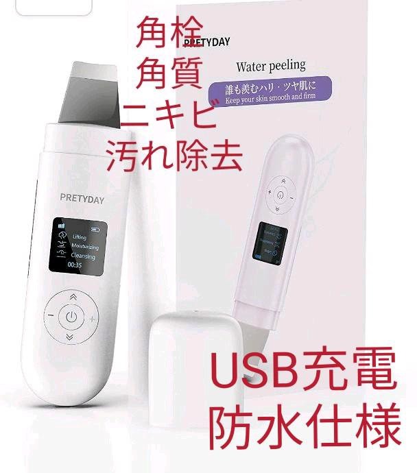 低価格で大人気の ほぼ未使用 京のおしろい落とし プラズマ美顔器