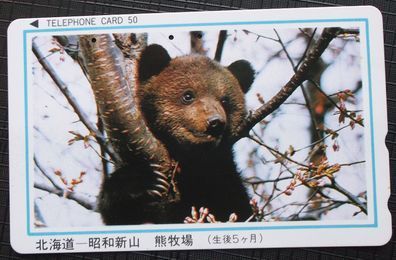 44 割引デザイン トスカノ製 母熊と小熊 グランドスケール動物彫刻 彫像 ガーデン お庭 熊牧場 ベア 幼稚園 輸入品 Www Psl Ee 44 割引デザイン トスカノ製 母熊と小熊 グランドスケール動物彫刻 彫像 ガーデン お庭 熊牧場 ベア 幼稚園 輸入品 Www Psl Ee