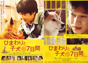 ★映画チラシ「ひまわりと子犬の７日間」２０１３年作品　２種類