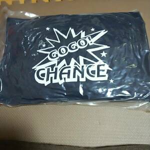  new goods unopened north electron Jug la- Denim cushion regular goods 