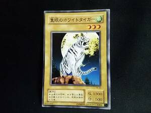 遊戯王 デュエルモンスターズ 隻眼のホワイトタイガー