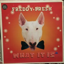 Freddy Fresh / What It Is_画像1