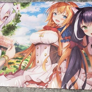 プリンセスコネクト プリコネ ReDive プリコネR コッコロ キャル ペコリーヌ マウスパッド プレイマット ラバーマット