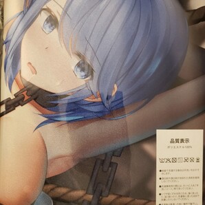 アズールレーン アズレン チャパエフ タペストリー