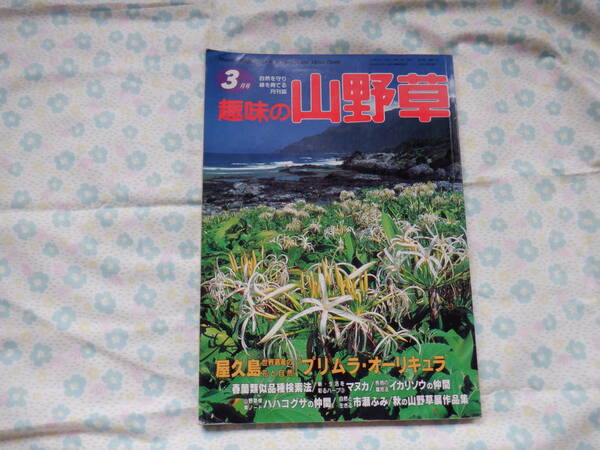 B7　『趣味の山野草　１９９８年３月号』　栃の葉書房発行