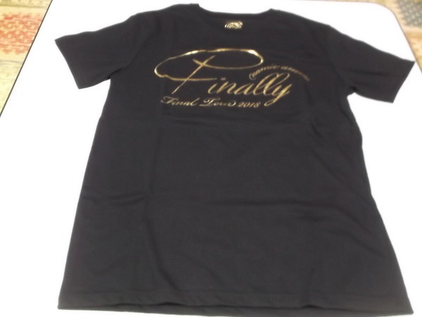 新品・未開封 安室奈美恵 ファイナリー FC限定Tシャツ サイズＬ-