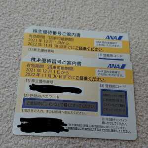 ★送料無料 全日空 ANA 株主優待券2枚 有効期限2022年11月30日