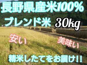 【白米】長野県産ブレンド米 30キロ（10キロ×3袋）長野産米100%　つきたてをお届けします!!