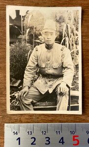 PA-8872 ■送料無料■ 旧日本軍 陸軍 軍隊 軍人 兵隊 軍帽 軍服 記念写真 写真 古写真 印刷物 長野県 レトロ アンティーク/くKAら