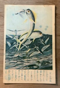 Art hand Auction PP-4520 ■Kostenloser Versand■ Tobiuo Fliegender Fisch Fisch Bild Malerei Illustration Illustration Kunstwerk Shonen Club Postkarte Postkarte Fotodruck Altes Foto/Kunara, Gedruckte Materialien, Postkarte, Postkarte, Andere