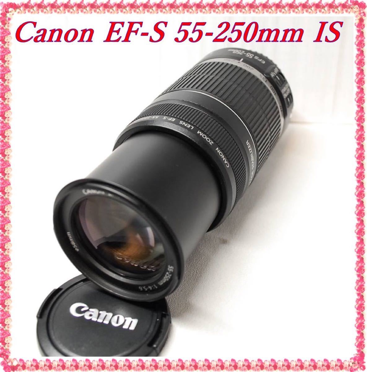 人気定番 www 【フード付】EF-M55-200mm F4.5-6.3 IS EF-M55-200mm STM