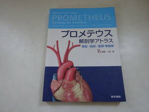 P3Bω　プロメテウス 解剖学アトラス　 頸部 / 胸部 / 腹部・骨盤部　酒井達雄　大谷修　医学書院　2009年 発行　
