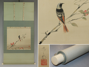 Art hand Auction Meisterwerk [Authentisches Werk] Yamamoto Kuragaoka [Sasanqua] ◆ Seidenbuch ◆ Gleiche Box ◆ Hängerolle u05133, Malerei, Japanische Malerei, Blumen und Vögel, Vögel und Tiere