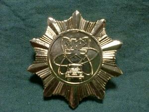 中国軍 人民解放軍 奨励近代輸送隊章 メダル紅衛兵 金バッジ0635