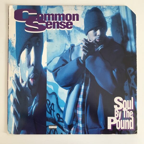 Common Sense - Soul By The Pound / Can-I-Bust / Heidi Hoe (USオリジナル/ニュースクール)