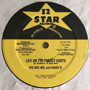 Pee Wee Mel And Barry B. / Keeling Bedford Connection - Life On The Planet Earth / Earth Beat 激レアオールドスクールディスコラップ