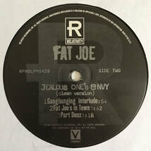 Fat Joe - Jealous One's Envy (Promo 2LP) 激レア2枚組み_画像2