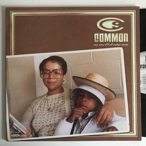 Common - One Day It'll All Make Sense (2LP) (USオリジナル)