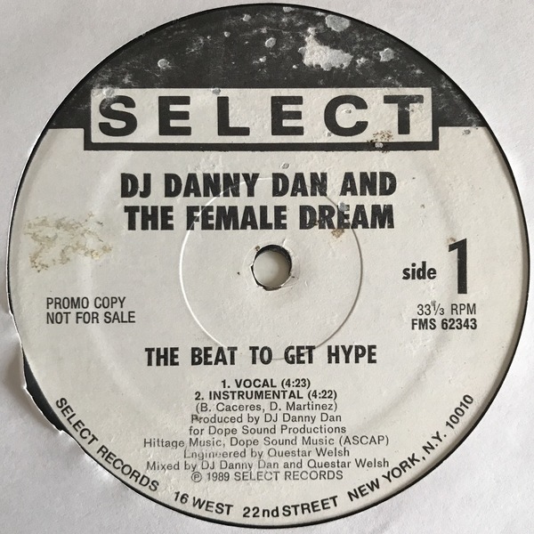 DJ Danny Dan And The Female Dream - The Beat To Get Hype (USオリジナル/プロモ/Promo/レアミドル)