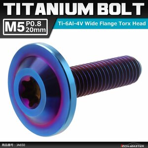 M5×20mm P0.8 64チタン合金 トルクス穴 フランジ付き ボタンボルト 焼きチタンカラー ダークカラー 1個 JA650