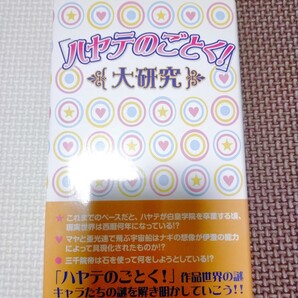 ハヤテのごとく! 大研究 ハヤテのごとく!研究会