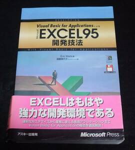 [Visual Basic for Applications because of EXCEL95 development technique ] disk attaching 