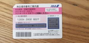 ANA株主優待券×1枚 有効期限：2023年5月31日まで★ 送料無料
