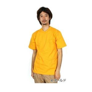 ☆ 4.ゴールド ☆ L Tシャツ メンズ ブランド 半袖 無地 シンプル CAMBER キャンバー ポケット付きTシャツ ヘビーウェイトTシャツ ポケッ