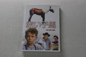 赤い子馬 　ロバート・ミッチャム　 マーナ・ロイ 　DVD　新品