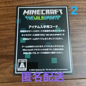 マインクラフト マイクラ アレイパーカースキン スキンコード