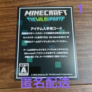 マインクラフト マイクラ アレイパーカースキン スキンコード