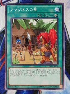 ◆B8145◆遊戯王OCG・アマゾネスの里 ノーマル DP18-JP014◆