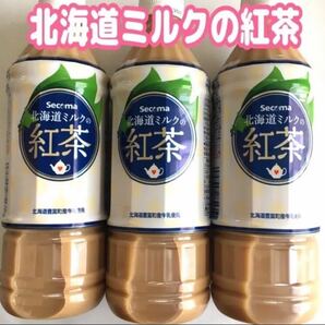北海道限定北海道ミルクの紅茶 3本