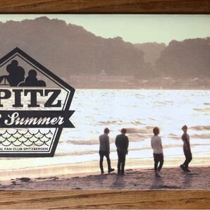 『Spitz Bergen（スピッツ ベルゲン）号外』SUMMER GREETING 2013-8 非売品　レア　美品