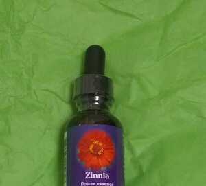 fesjinia30ml // flower essence bachi flower 