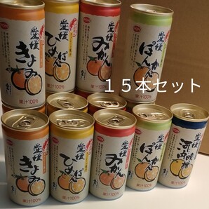 愛媛 柑橘 ストレート100% 190g×15本セット