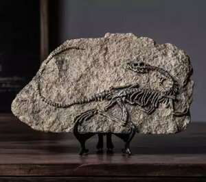 LHH773★種類多数 3D 恐竜 化石 彫刻 インテリア 装飾 レトロ 骨 おしゃれ アンティーク 置物